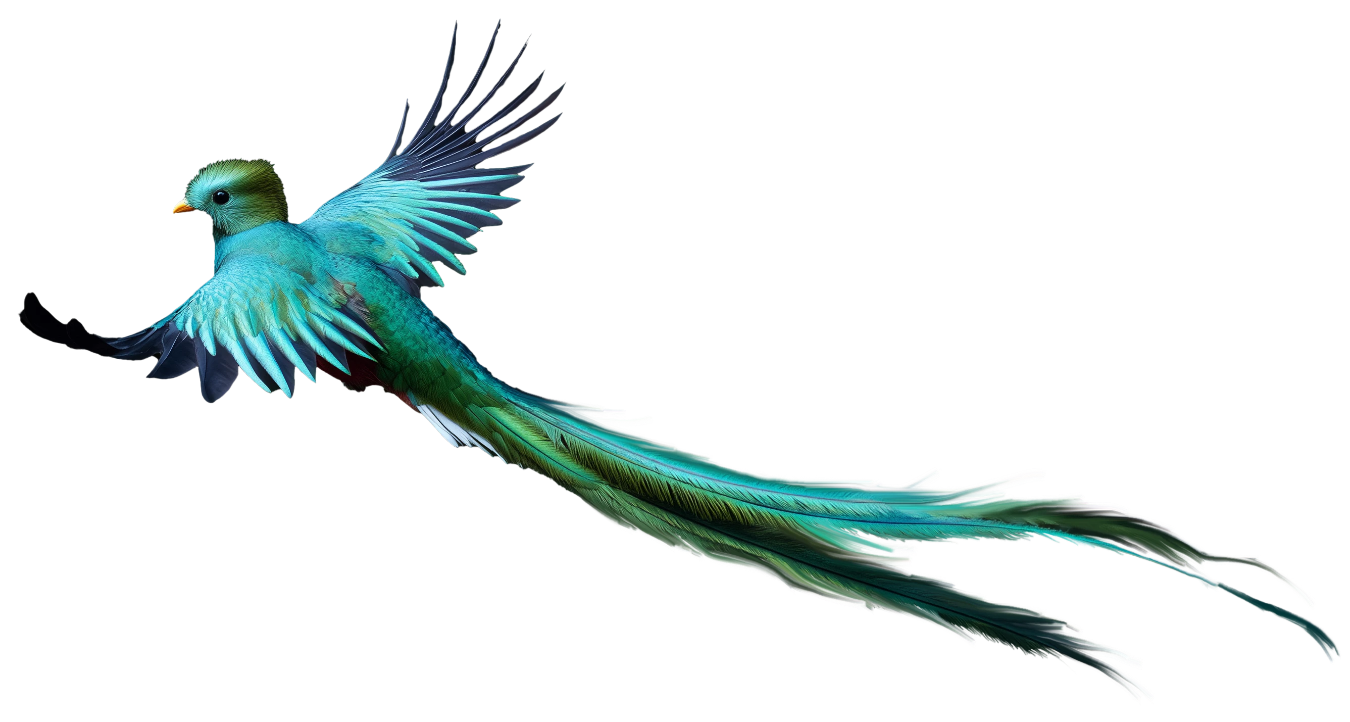 Quetzal resplandeciente volando con su larga cola extendida